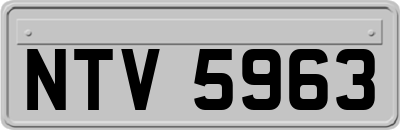 NTV5963