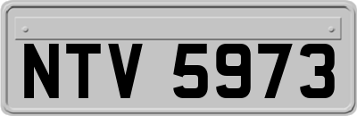 NTV5973