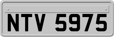 NTV5975