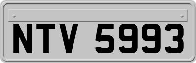 NTV5993