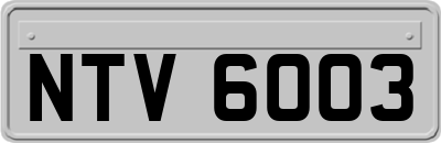 NTV6003