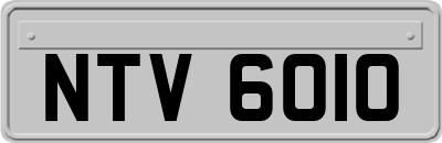 NTV6010