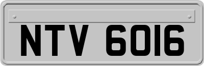 NTV6016