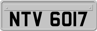 NTV6017