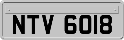NTV6018