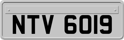 NTV6019
