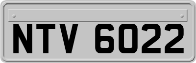 NTV6022