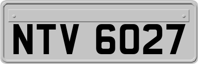 NTV6027