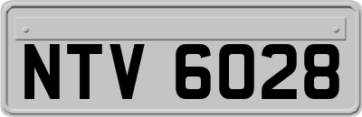 NTV6028