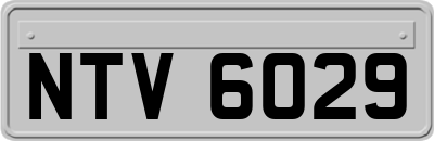 NTV6029
