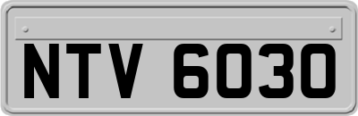 NTV6030