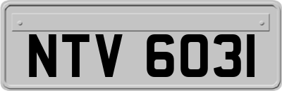 NTV6031