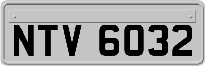 NTV6032