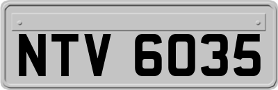NTV6035