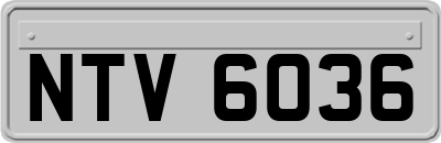 NTV6036