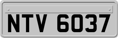 NTV6037