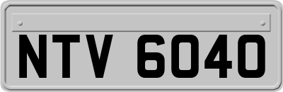NTV6040