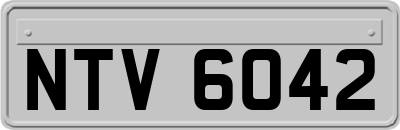 NTV6042