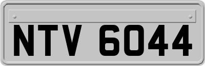 NTV6044
