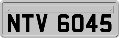 NTV6045