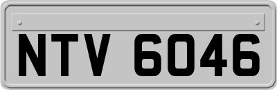 NTV6046
