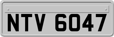 NTV6047