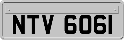 NTV6061