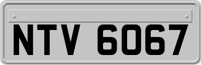 NTV6067