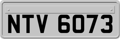 NTV6073