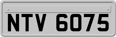 NTV6075