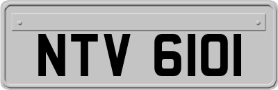 NTV6101