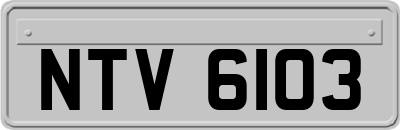 NTV6103