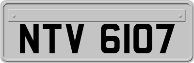 NTV6107