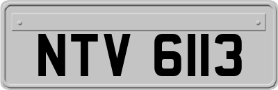 NTV6113