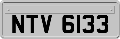 NTV6133