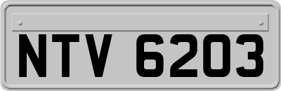 NTV6203