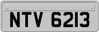 NTV6213