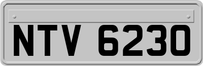 NTV6230