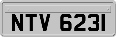 NTV6231