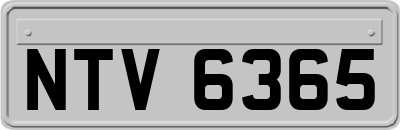 NTV6365