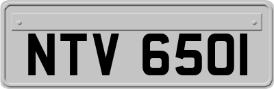 NTV6501