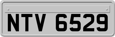 NTV6529