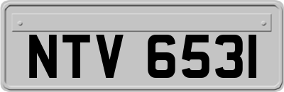 NTV6531