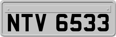 NTV6533