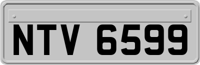 NTV6599
