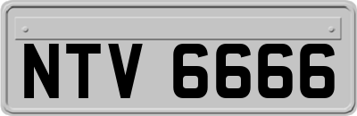 NTV6666