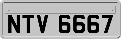 NTV6667