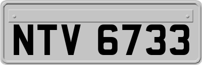 NTV6733