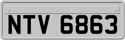 NTV6863