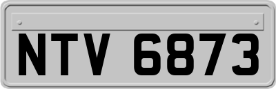 NTV6873